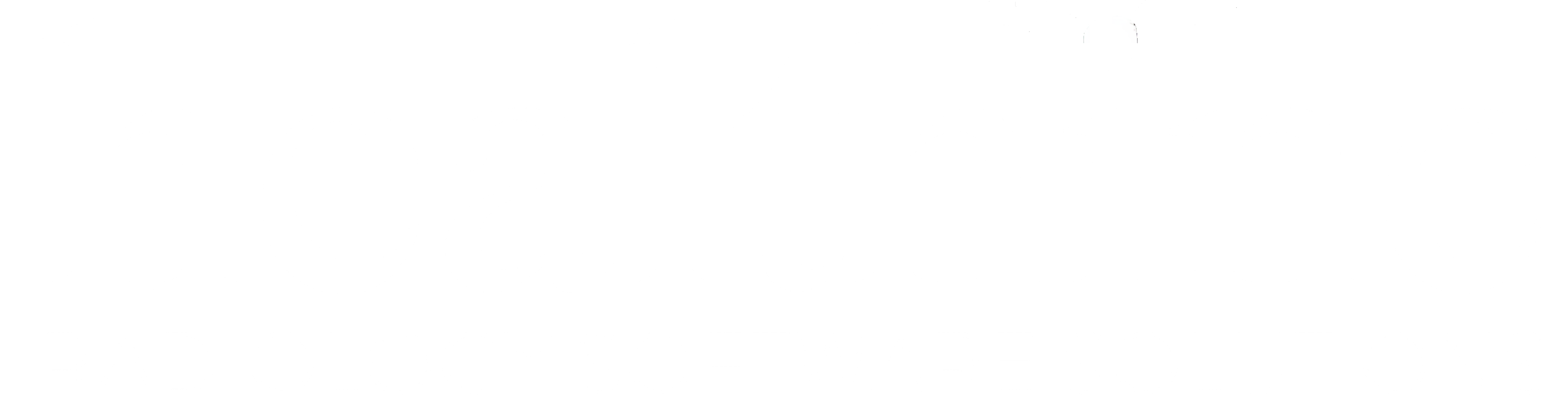 Healthinc